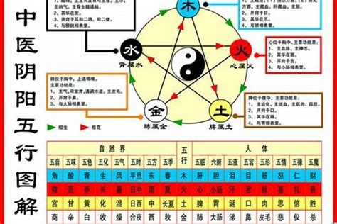 1984五行属什么|84年属鼠是什么命 84年属鼠的人和什么属相合